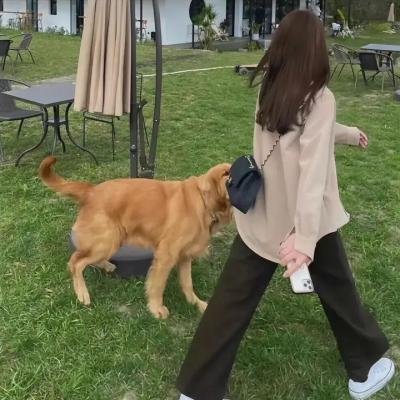 人·鬼·情